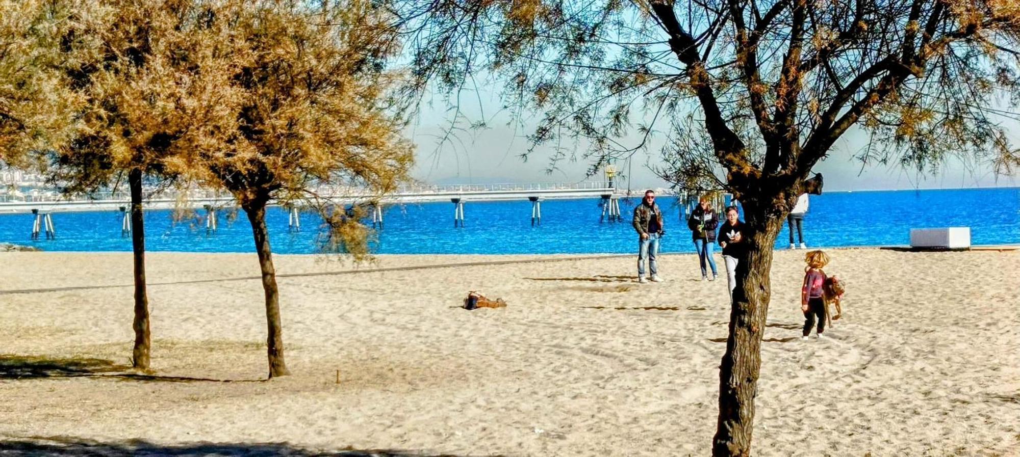 Hostal Estudios بادالونا المظهر الخارجي الصورة