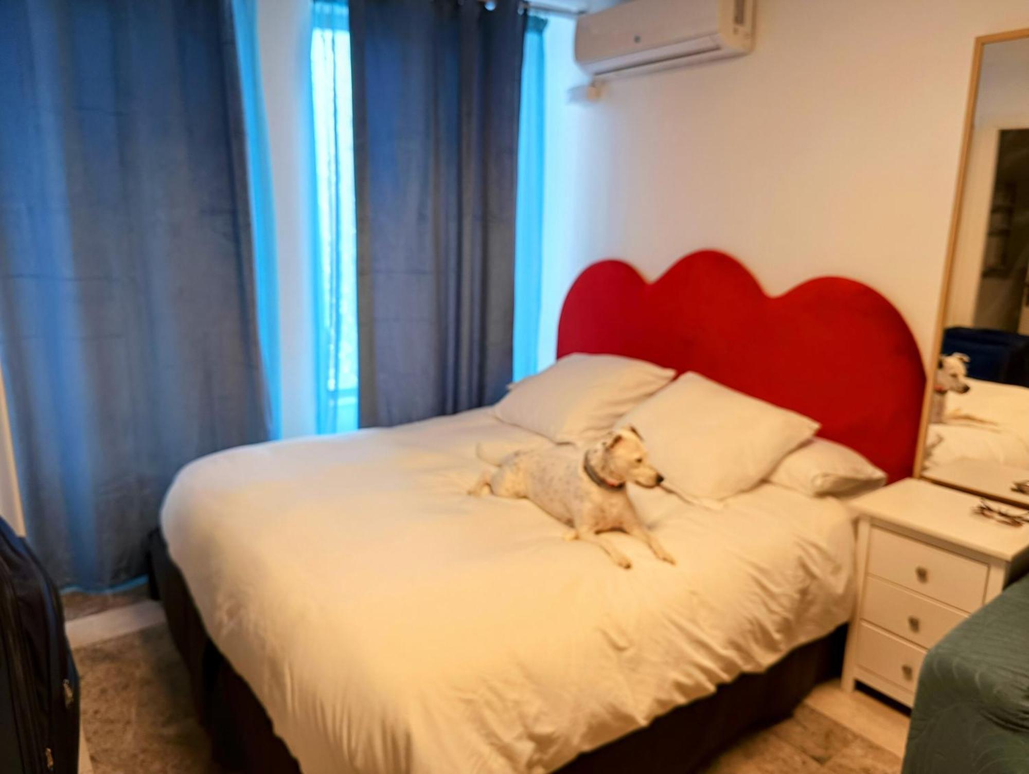 Hostal Estudios بادالونا المظهر الخارجي الصورة