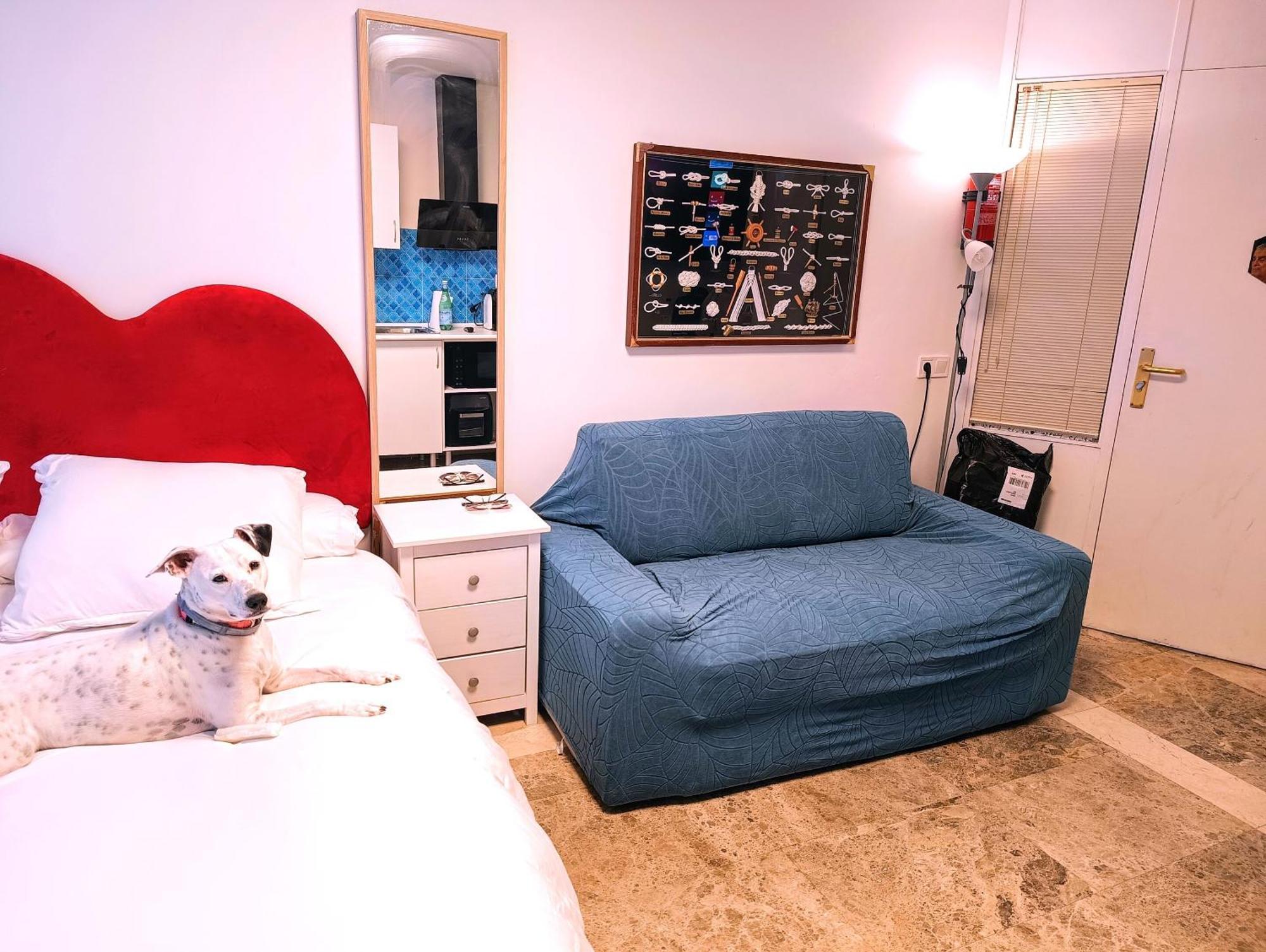 Hostal Estudios بادالونا المظهر الخارجي الصورة